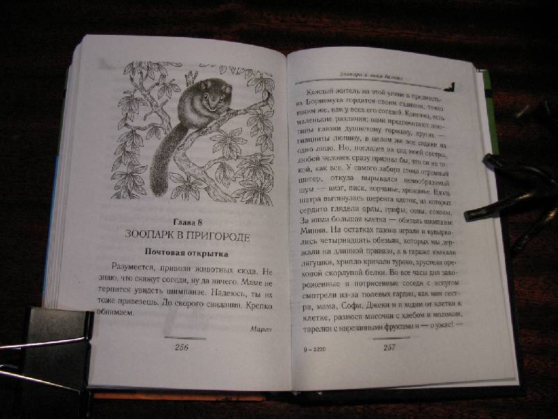 Иллюстрация 18 из 19 для Зоопарк в моем багаже - Джеральд Даррелл | Лабиринт - книги. Источник: tayana