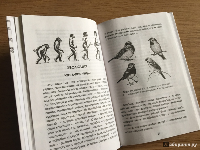 Иллюстрация 10 из 29 для Нескучная биология - Алексей Целлариус | Лабиринт - книги. Источник: Лабиринт