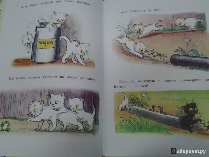 Иллюстрация 33 из 61 для Любимые сказки и картинки - Владимир Сутеев | Лабиринт - книги. Источник: Olga