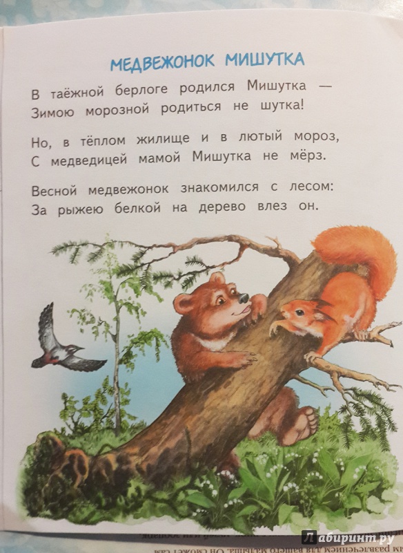 Иллюстрация 24 из 32 для Слонёнок Санни - Владимир Борисов | Лабиринт - книги. Источник: Лиса