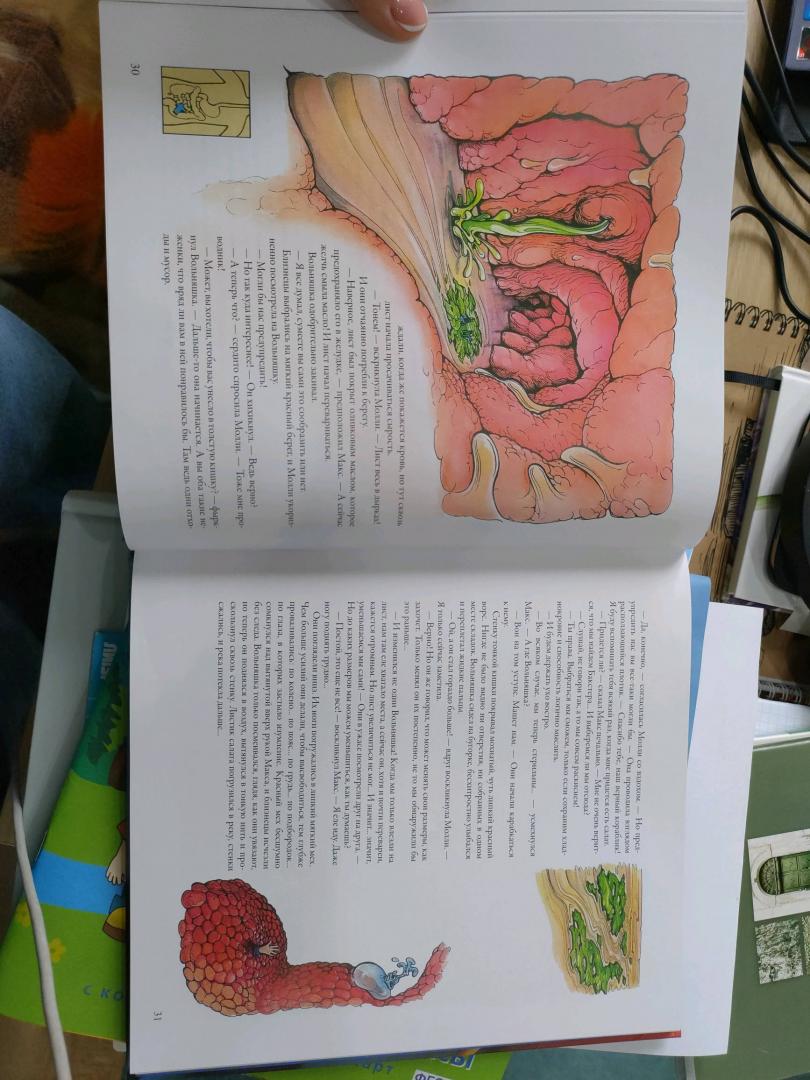 Иллюстрация 18 из 60 для Тайны анатомии - Кэрол Доннер | Лабиринт - книги. Источник: Лабиринт