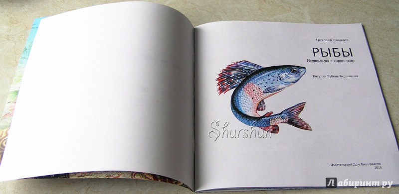 Иллюстрация 12 из 42 для Рыбы - Николай Сладков | Лабиринт - книги. Источник: Shurshun