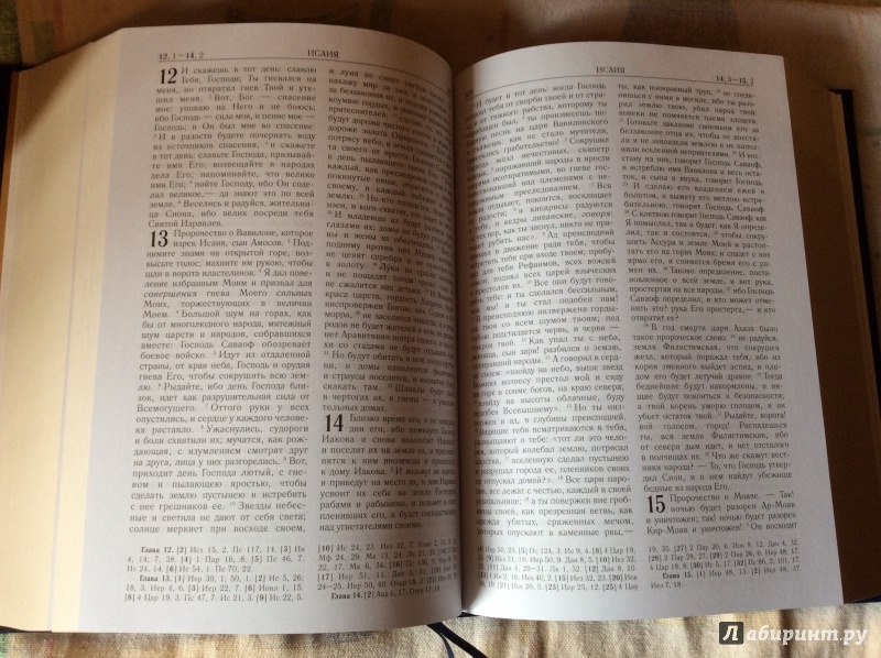 Иллюстрация 14 из 27 для Библия | Лабиринт - книги. Источник: а.а.и.