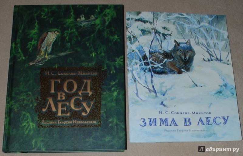 Иллюстрация 39 из 64 для Зима в лесу - Иван Соколов-Микитов | Лабиринт - книги. Источник: Книжный кот