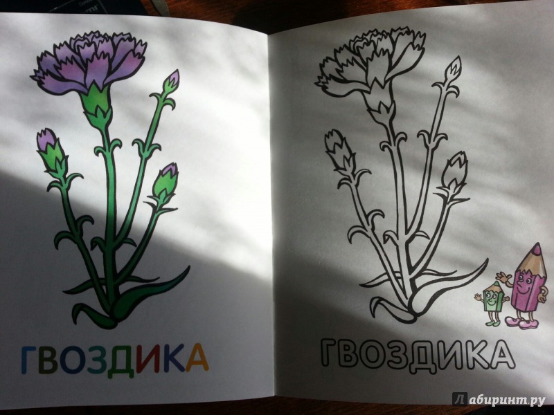 Иллюстрация 25 из 33 для Раскраска для малышей "Цветы" | Лабиринт - книги. Источник: Folgaa