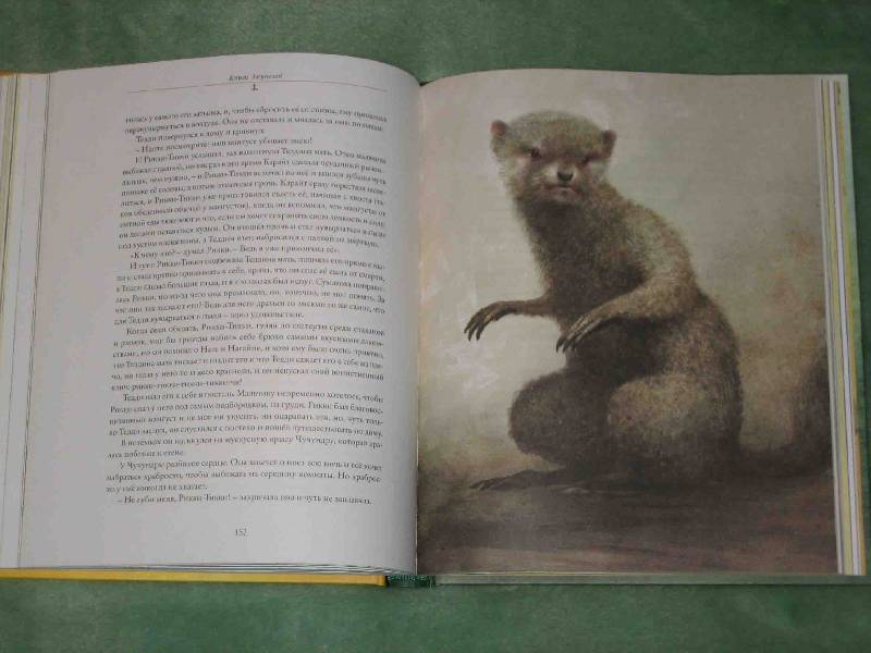 Иллюстрация 74 из 164 для Книга джунглей - Редьярд Киплинг | Лабиринт - книги. Источник: Трухина Ирина