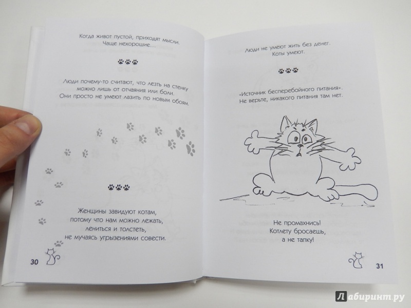 Иллюстрация 16 из 22 для О чем молчат коты. Записки на опилках | Лабиринт - книги. Источник: dbyyb