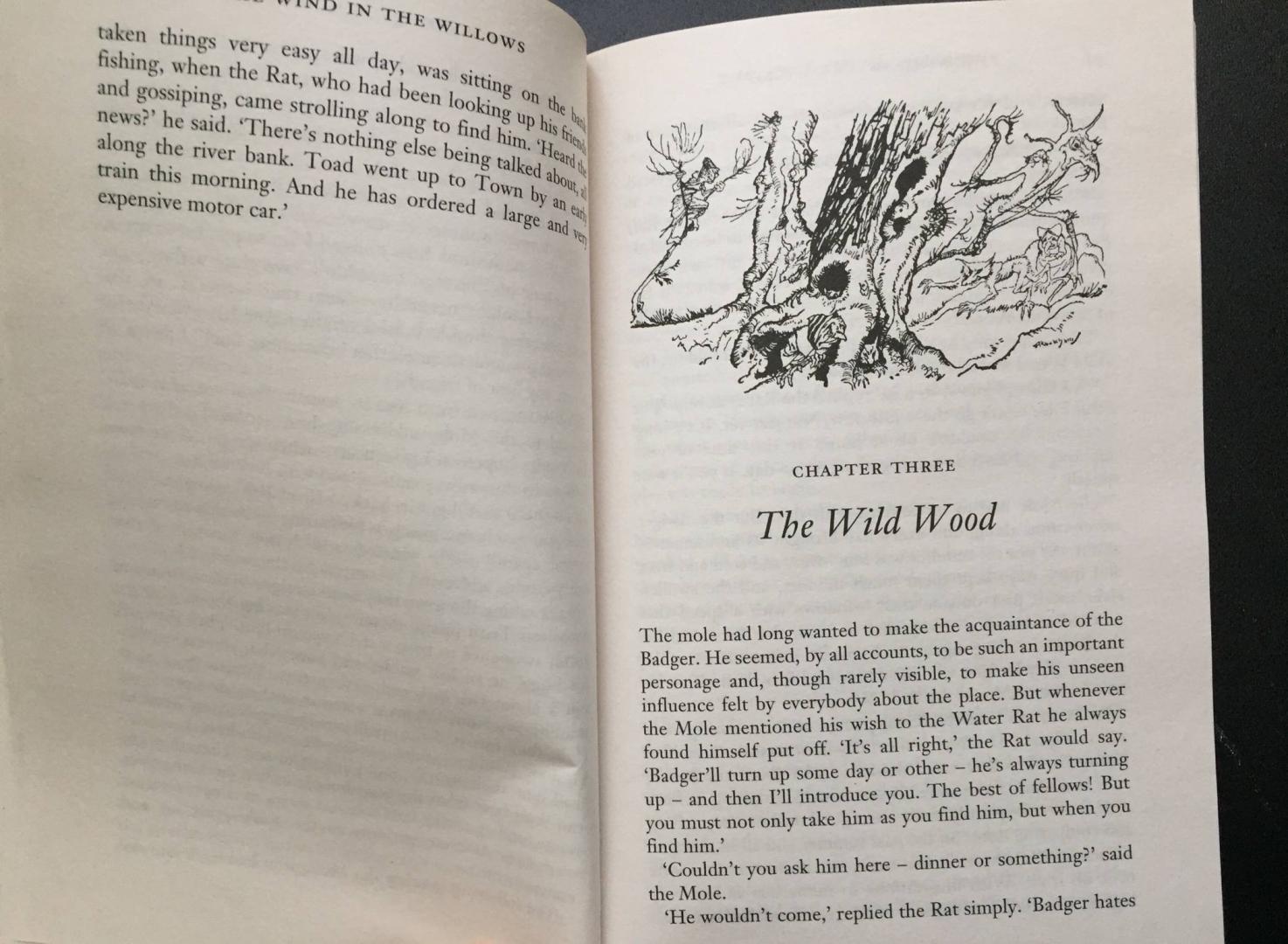 Иллюстрация 32 из 39 для The Wind in the Willows - Kenneth Grahame | Лабиринт - книги. Источник: u_p