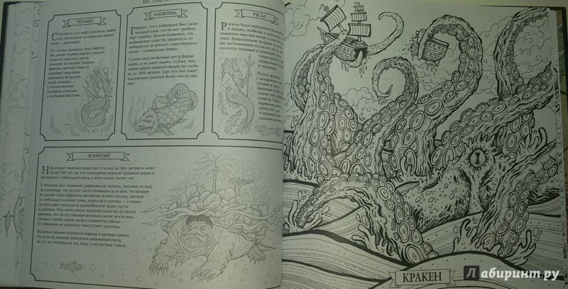 Иллюстрация 21 из 49 для Фантастические существа. Книга-раскраска | Лабиринт - книги. Источник: Маркона