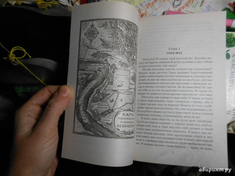 Иллюстрация 17 из 21 для Квартеронка, или Приключения на Диком Западе - Рид Майн | Лабиринт - книги. Источник: Савина  Евгения