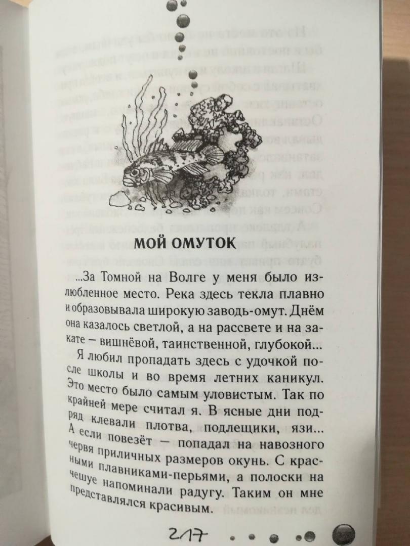 Иллюстрация 34 из 36 для Охотничья избушка - Николай Красильников | Лабиринт - книги. Источник: Лабиринт