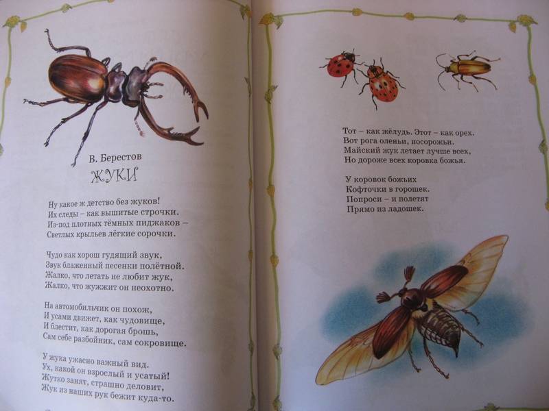 Иллюстрация 11 из 31 для Хрестоматия для начальной школы (от 7 до 9 лет) | Лабиринт - книги. Источник: Осень-рыжая подружка.