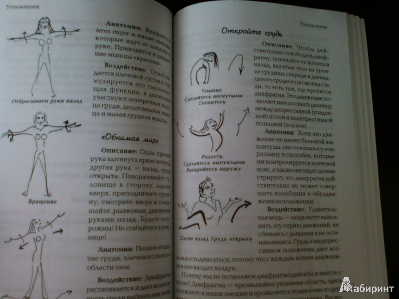Иллюстрация 4 из 7 для Розен метод: Движение и работа с телом - Розен, Бреннер | Лабиринт - книги. Источник: sontana