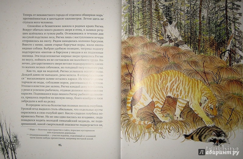Иллюстрация 111 из 154 для Золотая Ригма - Всеволод Сысоев | Лабиринт - книги. Источник: Трухина Ирина