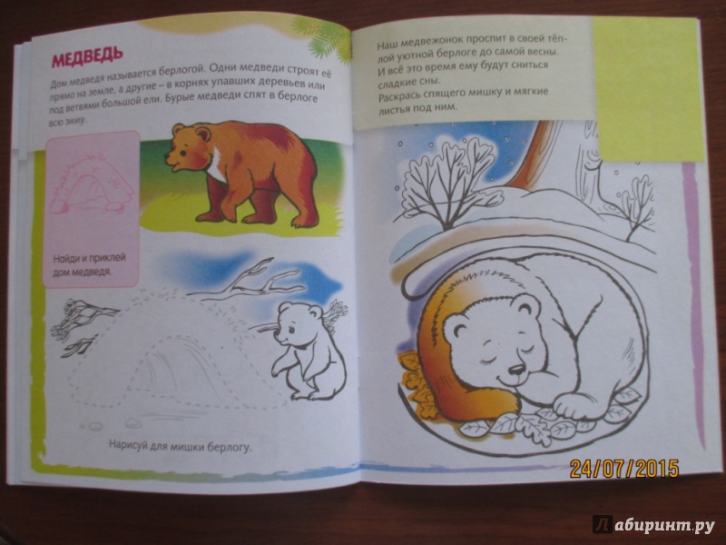 Иллюстрация 7 из 31 для Домики животных | Лабиринт - книги. Источник: Марина Епифанцева