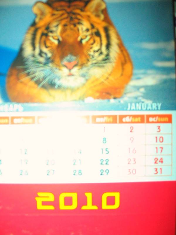 Иллюстрация 1 из 4 для Календарь 2010 "Год тигра" (10901) | Лабиринт - сувениры. Источник: Tamara