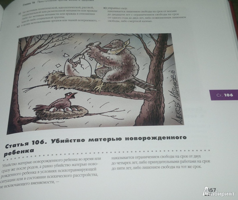 Иллюстрация 6 из 26 для Иллюстрированный Уголовный кодекс РФ | Лабиринт - книги. Источник: Леонид Сергеев