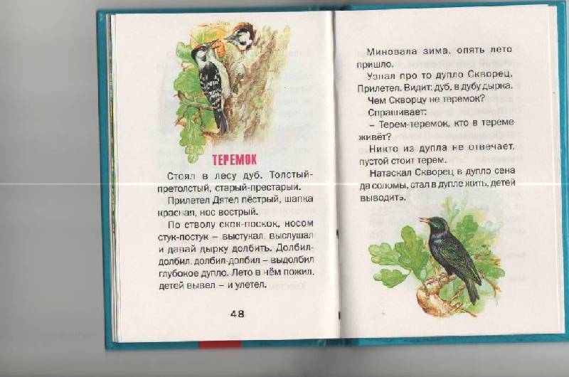 Иллюстрация 3 из 23 для Лесные сказки - Виталий Бианки | Лабиринт - книги. Источник: SVETLANKA