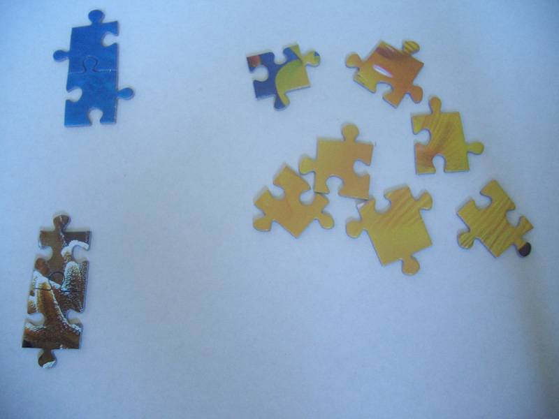 Иллюстрация 6 из 24 для Puzzle-1000 Коралловый риф | Лабиринт - игрушки. Источник: unnamed