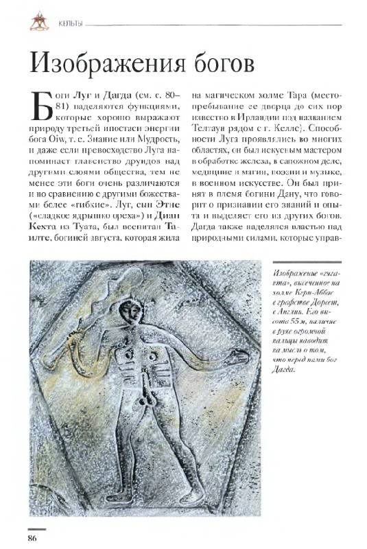 Иллюстрация 26 из 29 для Кельты. Первые европейцы | Лабиринт - книги. Источник: Рыженький