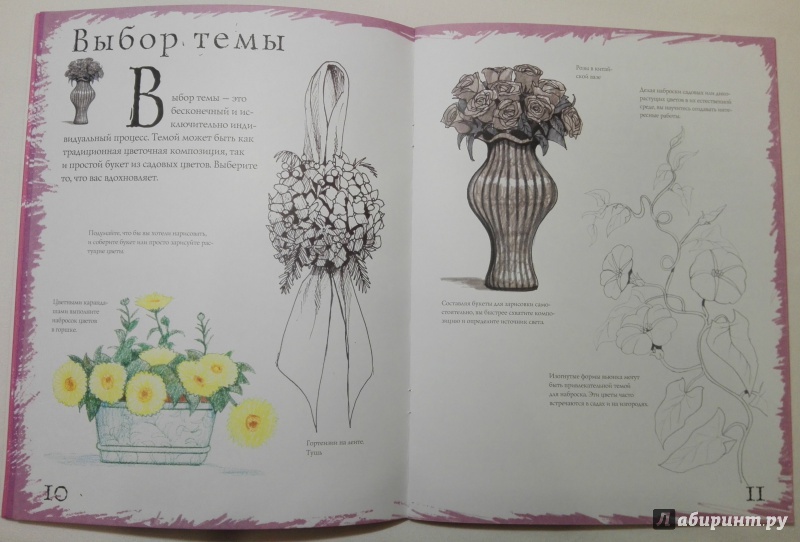 Иллюстрация 5 из 21 для Как рисовать. Цветы - Марк Берджин | Лабиринт - книги. Источник: Assolata