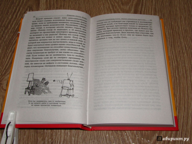 Иллюстрация 33 из 64 для Нарушая законы Мерфи - Сюзанна Сегерстром | Лабиринт - книги. Источник: leo tolstoy