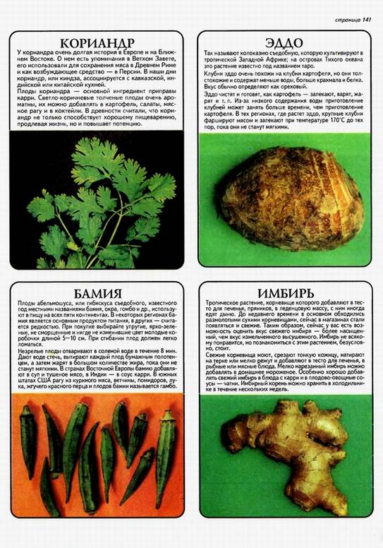 Иллюстрация 4 из 14 для Все об овощах - Дэвид Хессайон | Лабиринт - книги. Источник: Panterra