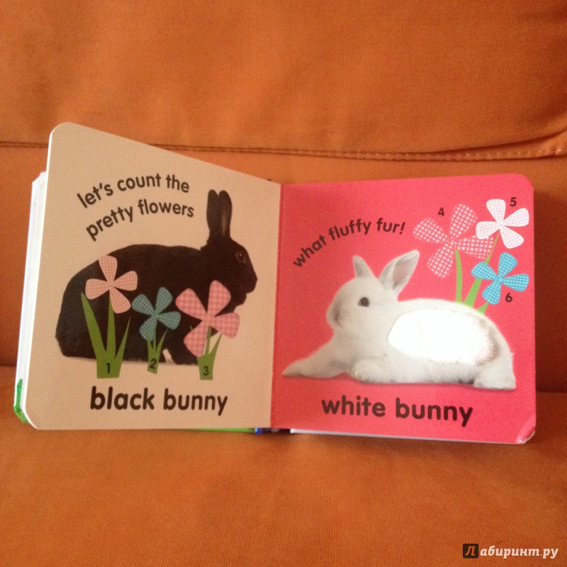 Иллюстрация 3 из 5 для Touch&Feel Bunny (Board Book) - Dawn Sirett | Лабиринт - книги. Источник: Daria Rudnik