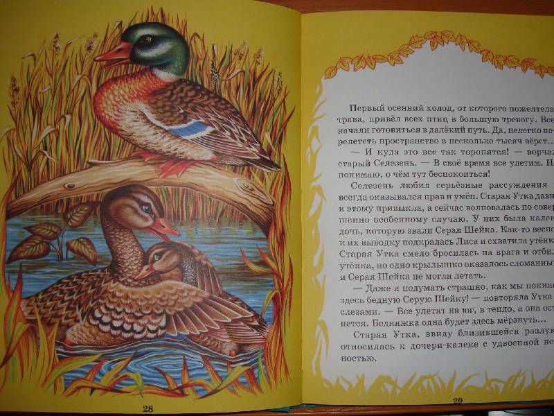 Иллюстрация 22 из 37 для Русские сказки о животных | Лабиринт - книги. Источник: Нинуля