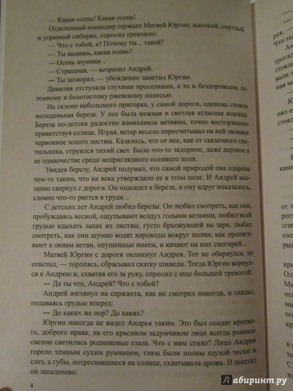 Иллюстрация 5 из 8 для Белая береза - Михаил Бубеннов | Лабиринт - книги. Источник: Ермакова Юлия