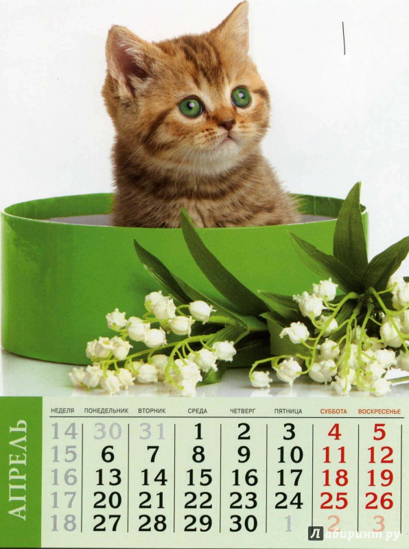 Иллюстрация 4 из 19 для Календарь на 2015 год "Кошки" (на магнитном креплении) (35772-36) | Лабиринт - сувениры. Источник: Кулагина  Марина Михайловна