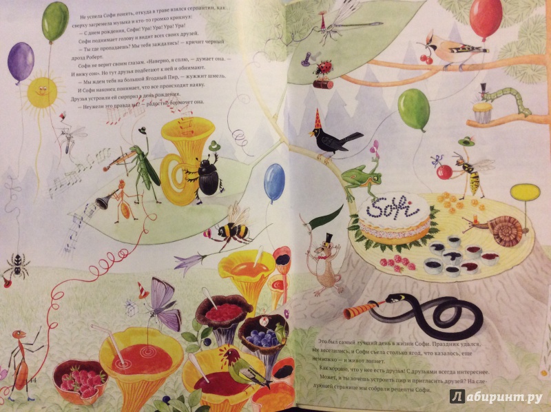 Иллюстрация 23 из 40 для Софи в мире ягод - Стефан Каста | Лабиринт - книги. Источник: Малинина  Анна Леонидовна