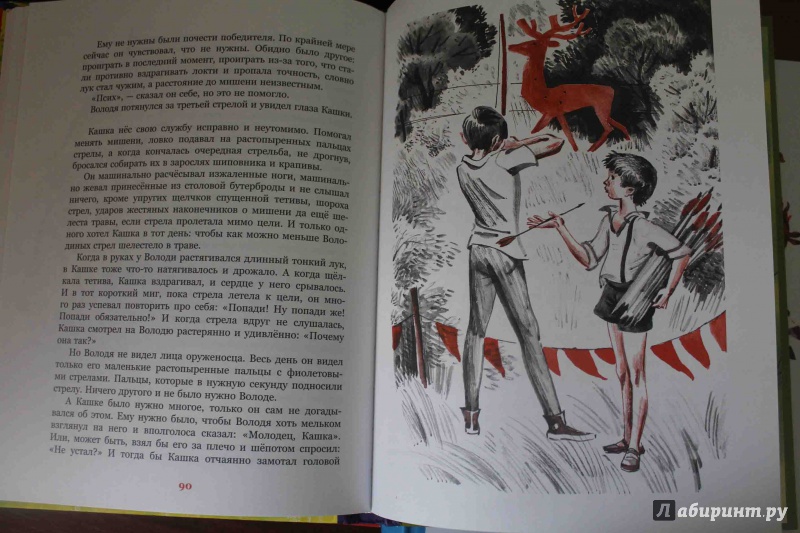 Иллюстрация 25 из 29 для Оруженосец Кашка - Владислав Крапивин | Лабиринт - книги. Источник: Нина 87