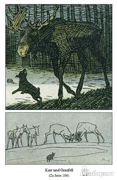 Иллюстрация 49 из 51 для Чудесное путешествие Нильса с дикими гусями - Сельма Лагерлеф | Лабиринт - книги. Источник: Blackboard_Writer