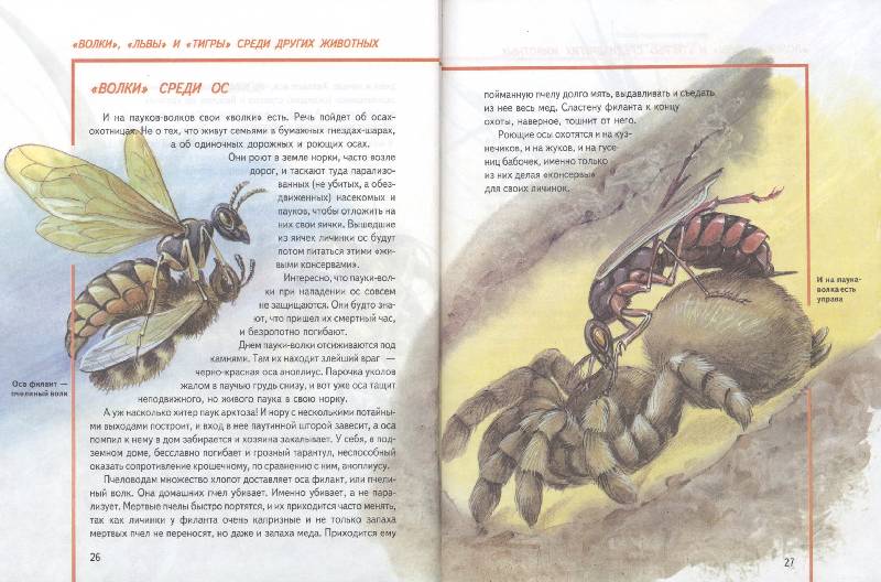 Иллюстрация 6 из 8 для Кто и как в мире животных охотится - Владимир Алексеев | Лабиринт - книги. Источник: РИВА