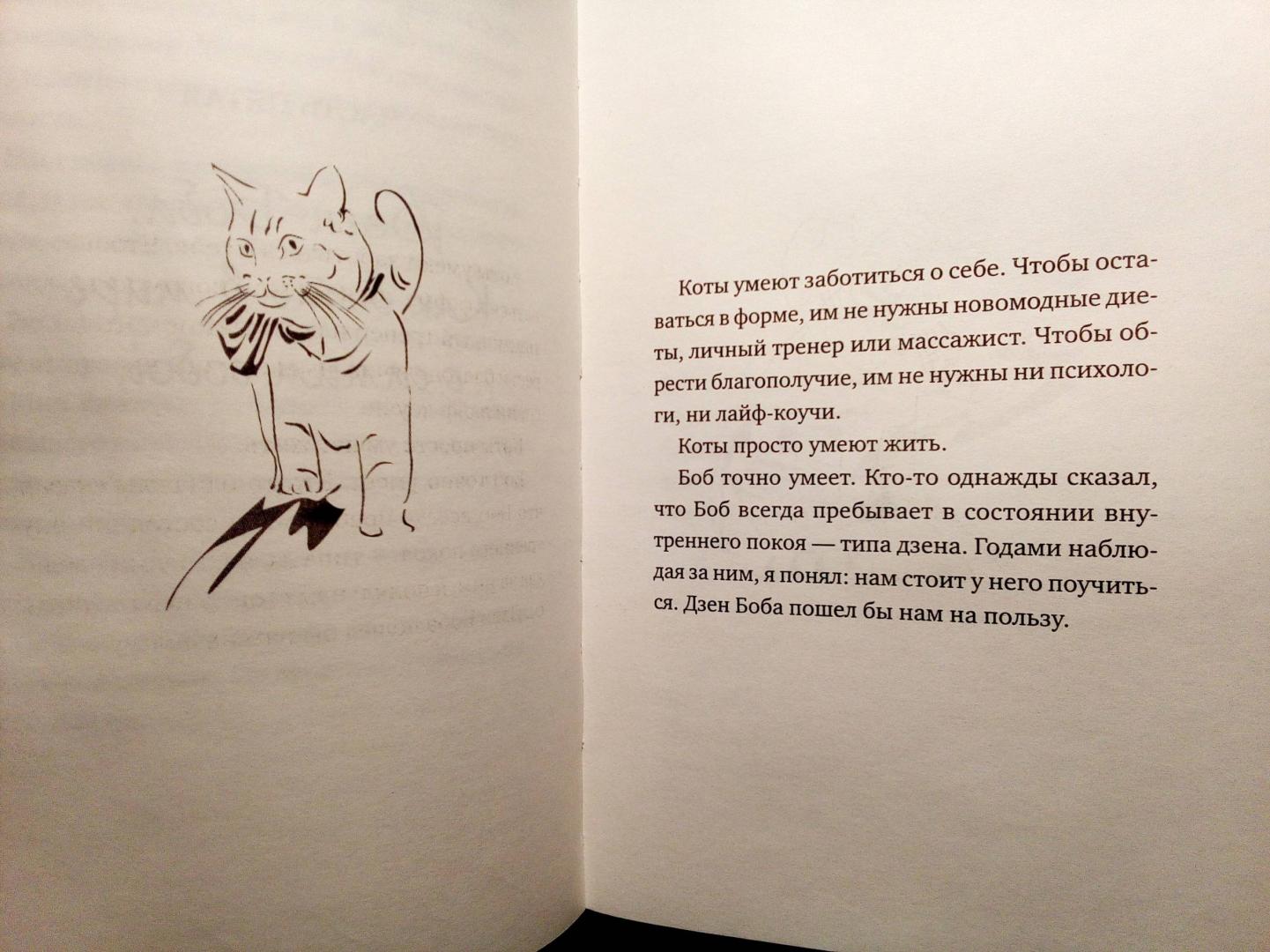 Иллюстрация 33 из 35 для Тайна уличного кота - Джеймс Боуэн | Лабиринт - книги. Источник: Книголюб!