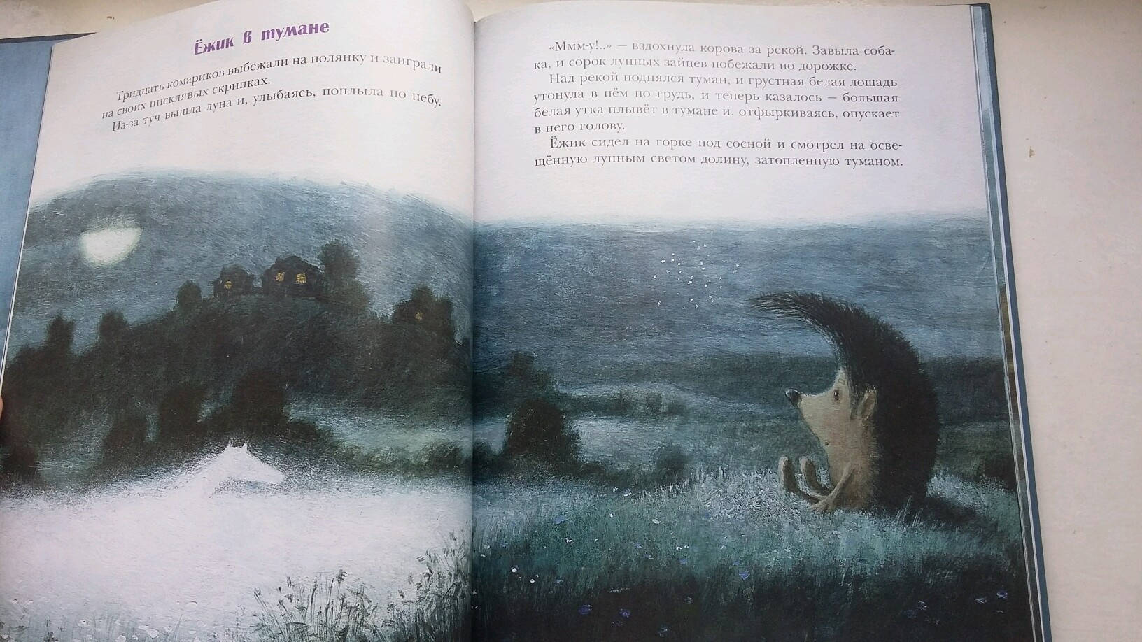 Иллюстрация 47 из 51 для Ёжик в тумане - Сергей Козлов | Лабиринт - книги. Источник: Лабиринт