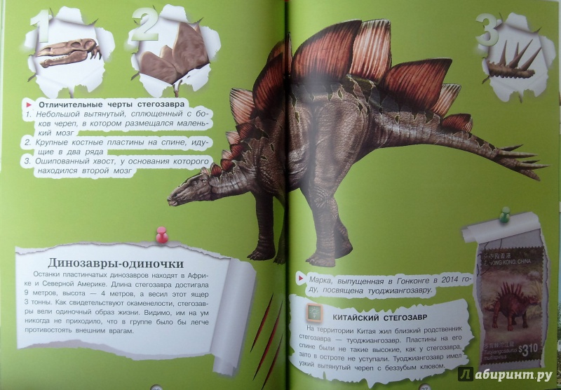 Иллюстрация 14 из 24 для Динозавры - Дмитрий Кошевар | Лабиринт - книги. Источник: Соловьев  Владимир