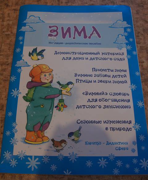 Иллюстрация 2 из 10 для Демонстрационный материал для дома и детского сада "Зима". А3 | Лабиринт - книги. Источник: Пономарева  Анна