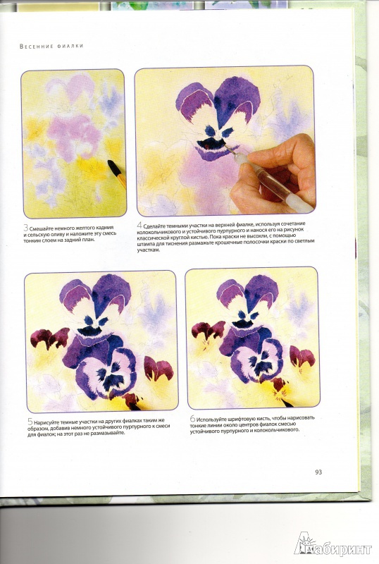 Иллюстрация 5 из 5 для Рисуем цветы акварелью за 30 минут - Фиона Перт | Лабиринт - книги. Источник: Nnezabudka