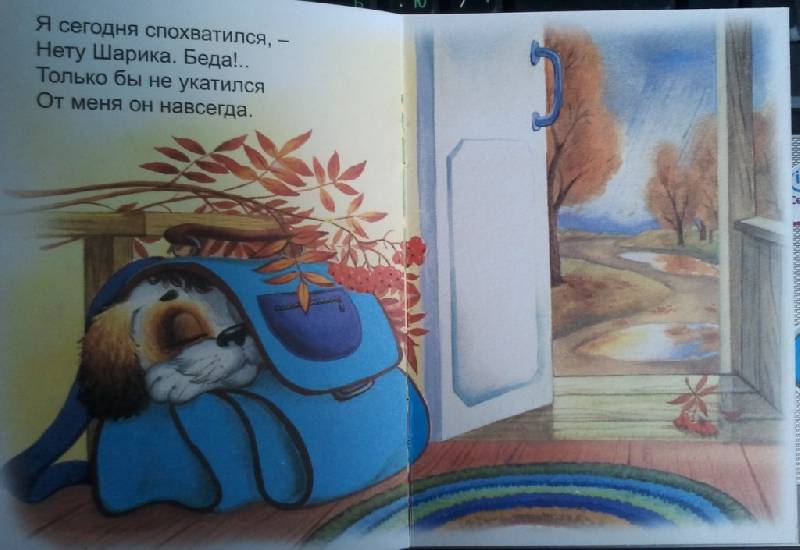 Иллюстрация 7 из 9 для Шарик - Юрий Разумовский | Лабиринт - книги. Источник: Орешек