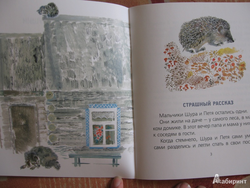 Иллюстрация 15 из 34 для Две мышки - Евгений Чарушин | Лабиринт - книги. Источник: Аун  Инга