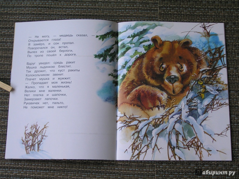 Иллюстрация 5 из 34 для Сон медведя-шатуна - Елена Родченкова | Лабиринт - книги. Источник: Shurshun