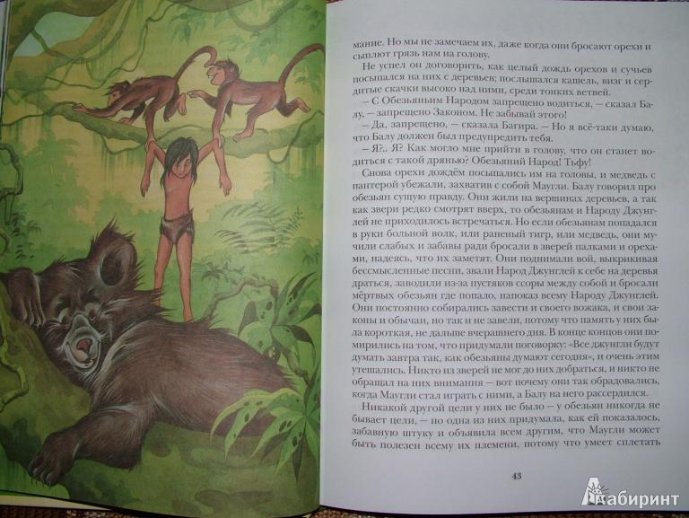 Иллюстрация 5 из 22 для Маугли - Редьярд Киплинг | Лабиринт - книги. Источник: om-2