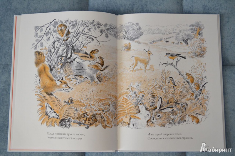Иллюстрация 5 из 38 для Луговая считалочка - Джон Лангстафф | Лабиринт - книги. Источник: Zifa82