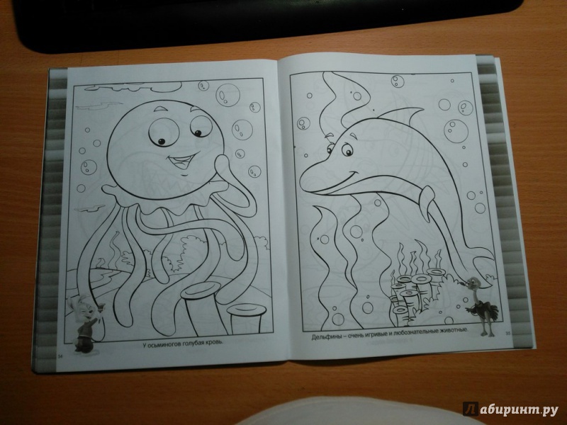 Иллюстрация 15 из 16 для Веселая раскраска. Морские создания | Лабиринт - книги. Источник: Горяева  Любовь