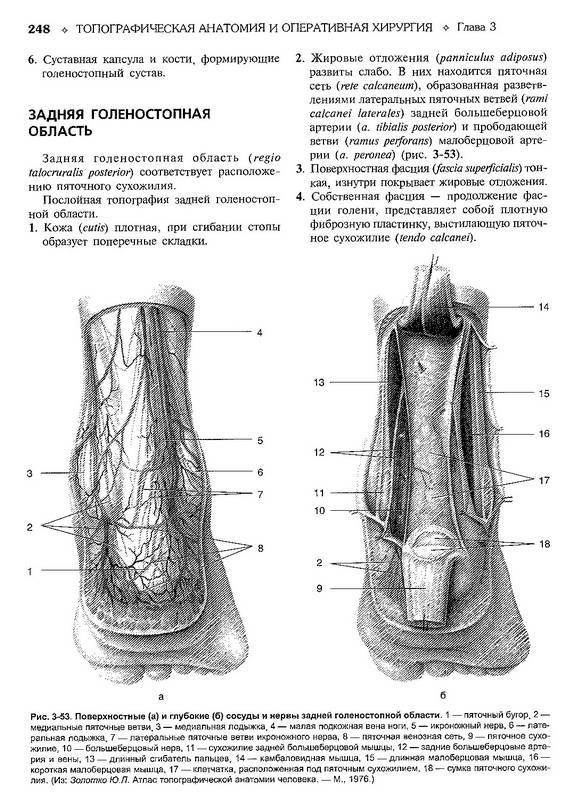 Иллюстрация 7 из 25 для Топографическая анатомия и оперативная хирургия. В 2 томах. Том 1 - Сергиенко, Петросян, Фраучи | Лабиринт - книги. Источник: Ялина