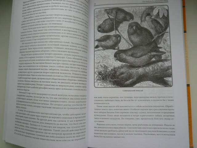 Иллюстрация 5 из 59 для В дебрях Африки - Генри Стенли | Лабиринт - книги. Источник: Nadezhda_S