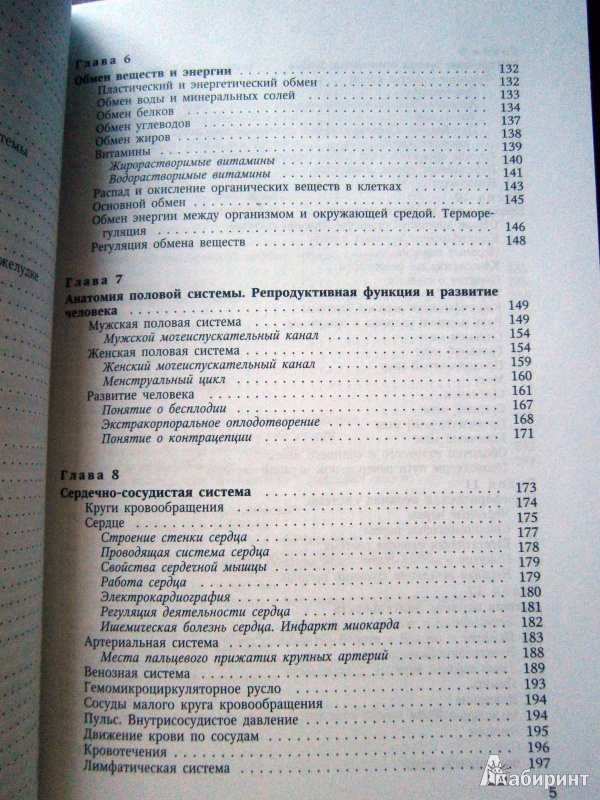 Иллюстрация 13 из 16 для Основы медицинских знаний (анатомия, физиология, гигиена человека и оказание первой помощи) - Гайворонский, Гайворонский, Виноградов, Ничипорук | Лабиринт - книги. Источник: D8  _