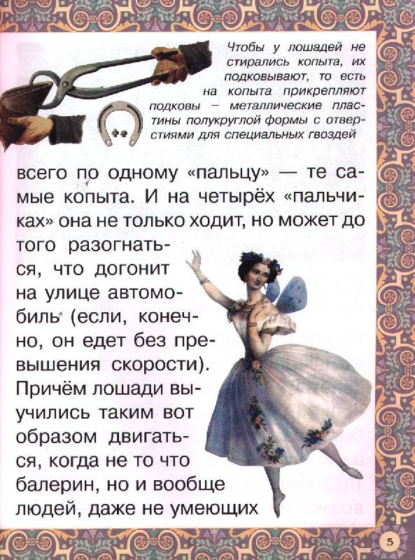 Иллюстрация 2 из 17 для Наша добрая лошадка - Наталия Ермильченко | Лабиринт - книги. Источник: OOlga